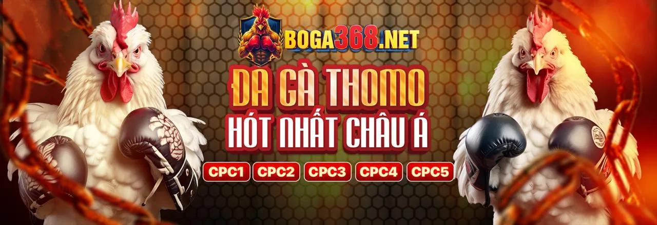 Đá Gà Trực Tuyến WM88